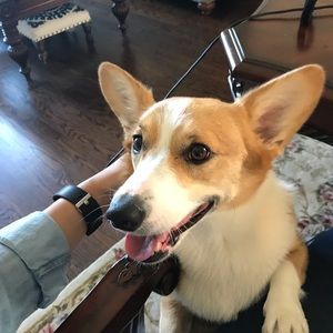 Meet your Posher, Priscilla